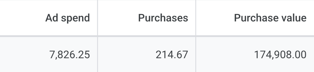 Google Ads totals: ad spend 7,826.25, purchases 214.67, purchase value 174,908.00